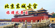 纯肉漫画中国北京-东城古宫旅游风景区